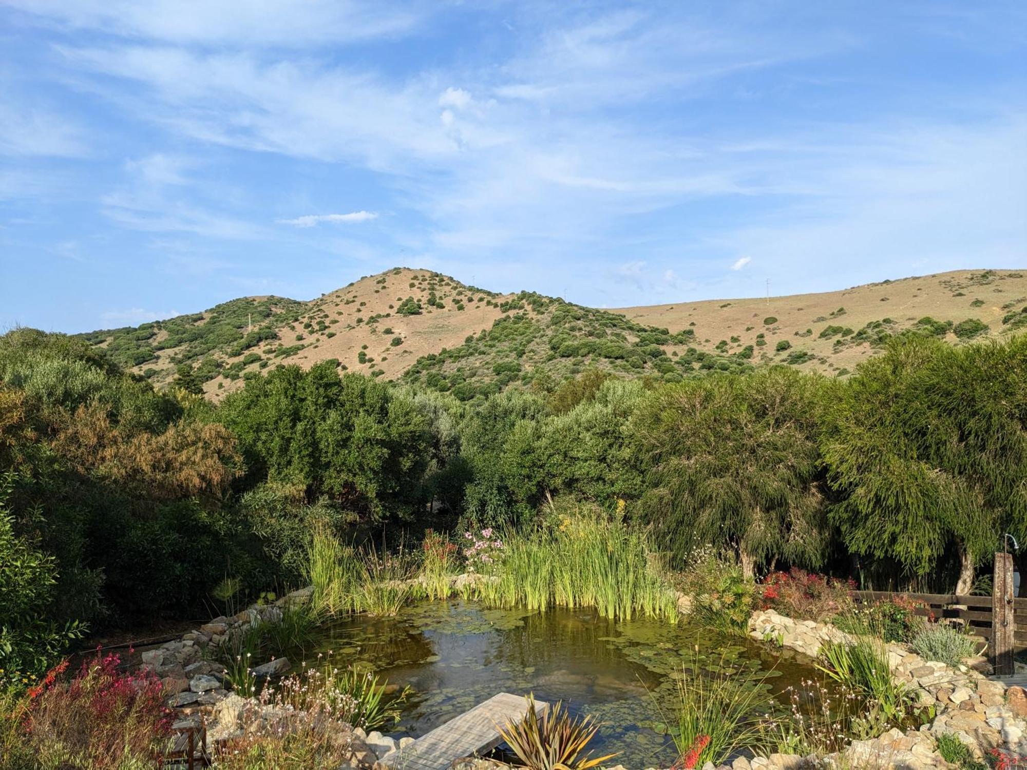 Home Stay En Finca Rural Tarifa Luaran gambar